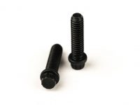 12 Pt Screw